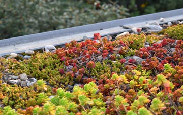 the cost of Torfrey green roof installation